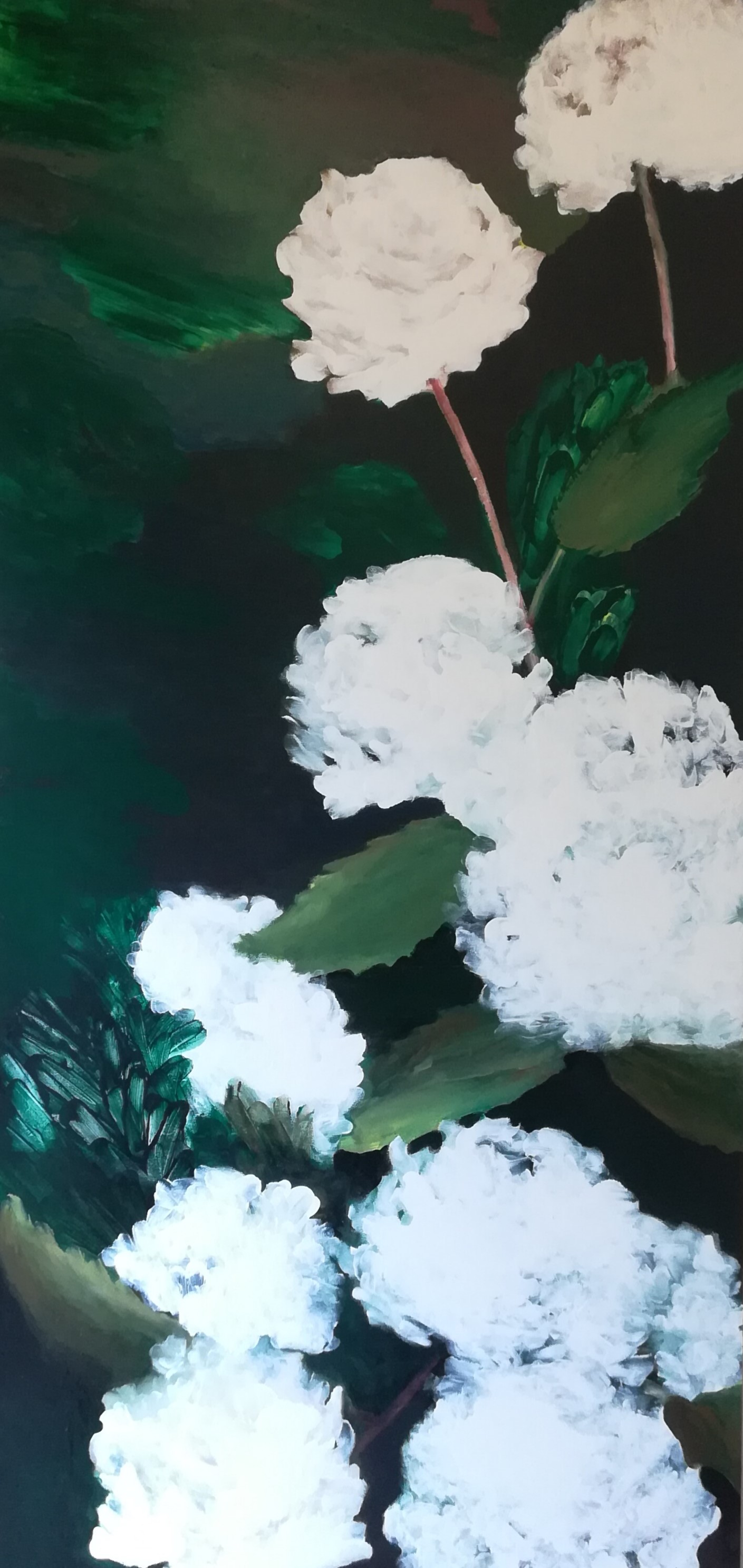 Hortensias verticales